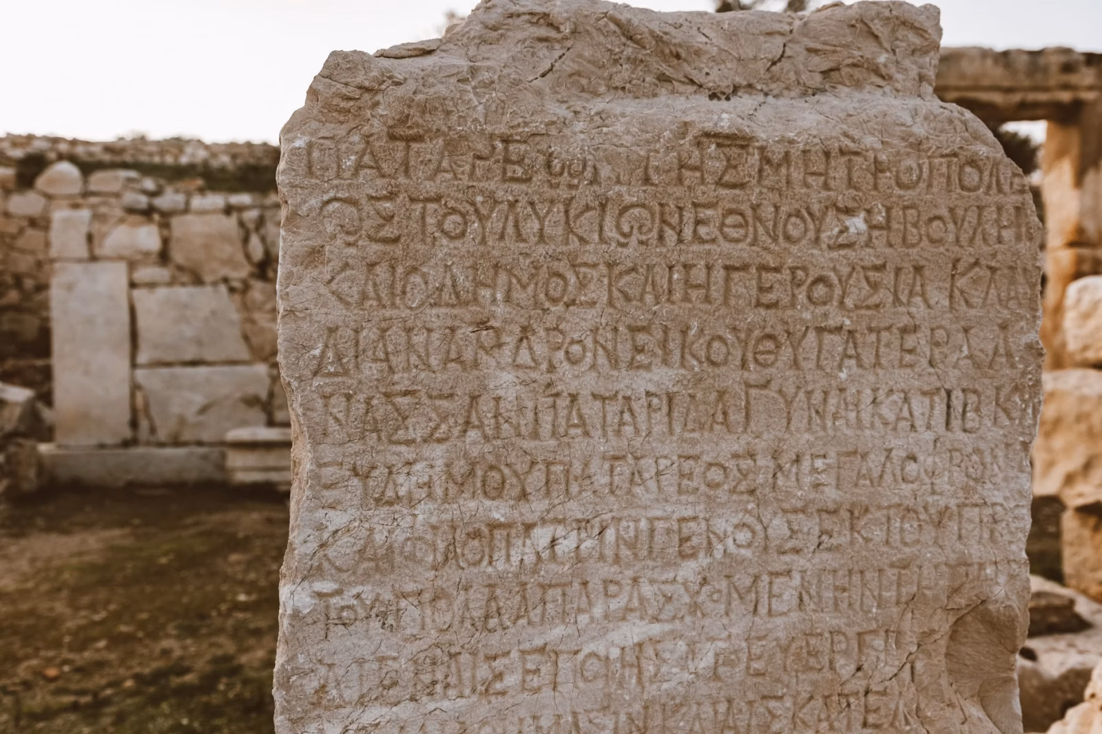 Mikenai Antik Kenti: Arkeolojik Alan Gezisi ve Harvati Dağı Zirve Yürüyüşü Mikenai Antik Kenti: Arkeolojik Alan Gezisi ve Harvati Dağı Zirve Yürüyüşü